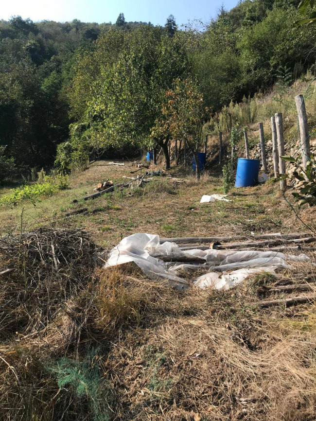 Villette a schiera in vendita a Murialdo