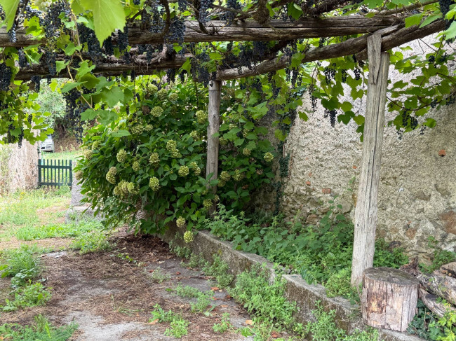 Rustico in vendita a Murialdo