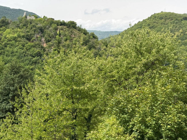 Rustico in vendita a Murialdo