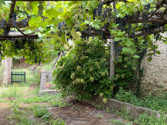 Rustico in vendita a Murialdo