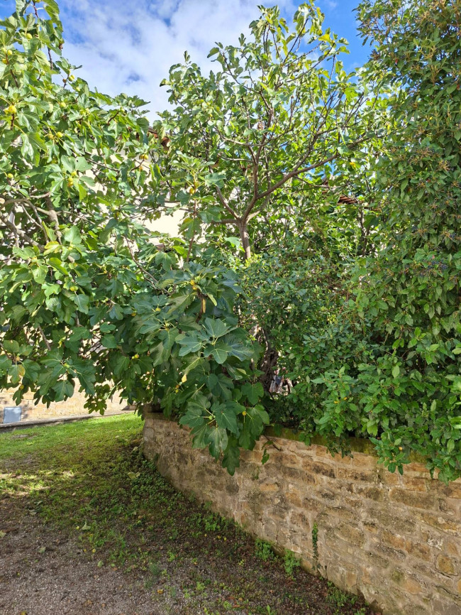 Appartamento in vendita a Arezzo