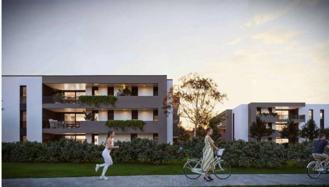 Appartamento in vendita a Limena