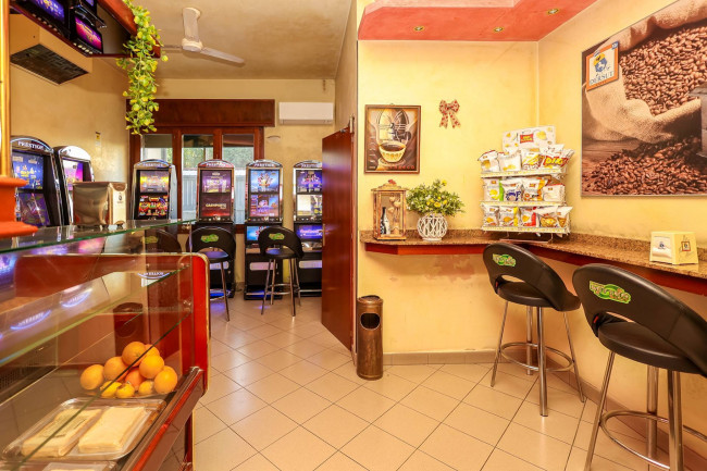 Attività commerciale in vendita a Boara Pisani
