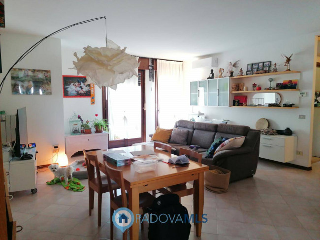 Appartamento in vendita a Vigodarzere