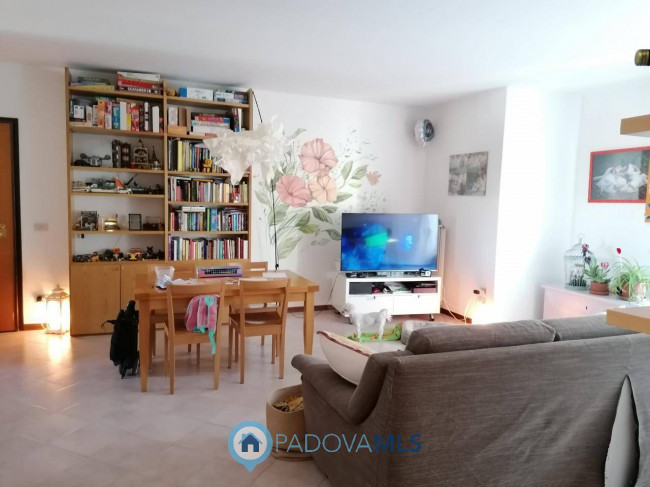 Appartamento in vendita a Vigodarzere