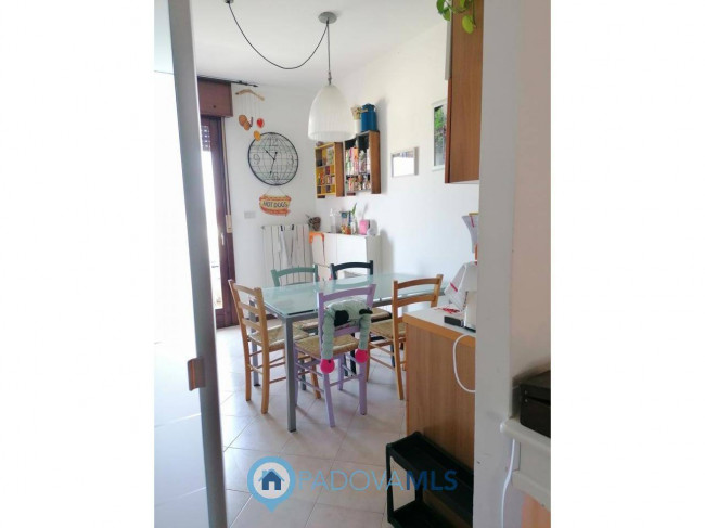 Appartamento in vendita a Vigodarzere