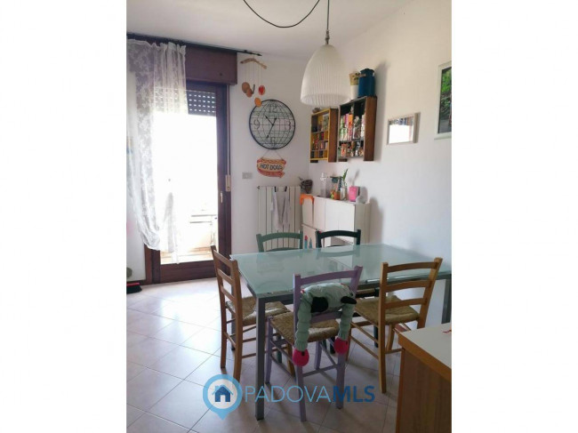 Appartamento in vendita a Vigodarzere