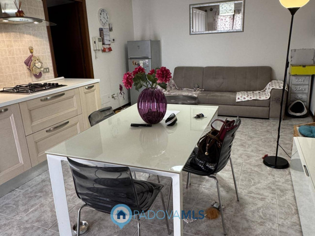 Appartamento in vendita a Veggiano