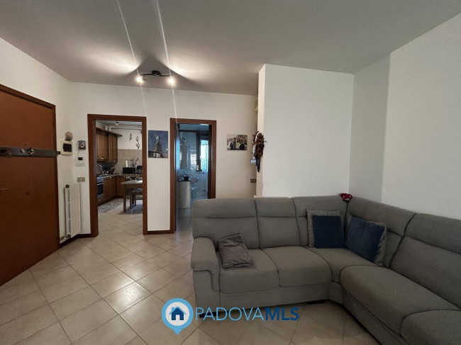 Appartamento in vendita a Saonara