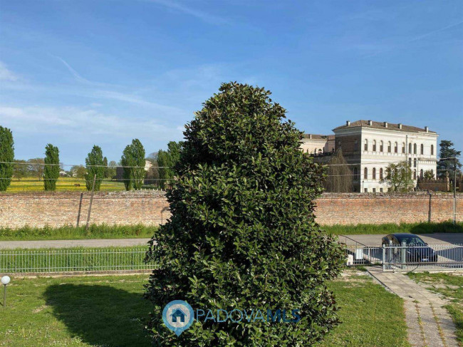 Villa in vendita a Conselve