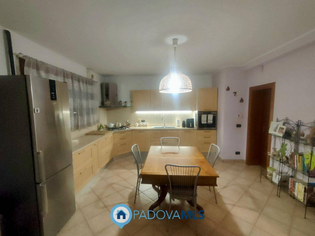 Appartamento in vendita a Noventa Padovana