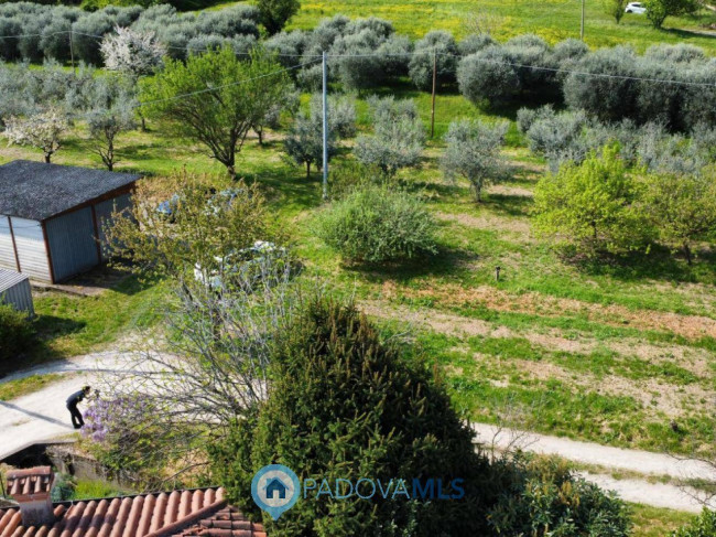 Casa singola in vendita a Monselice