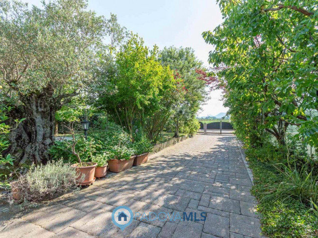 Villette a schiera in vendita a Due Carrare