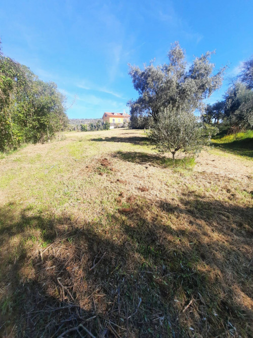 Terreno edificabile in vendita a Altidona