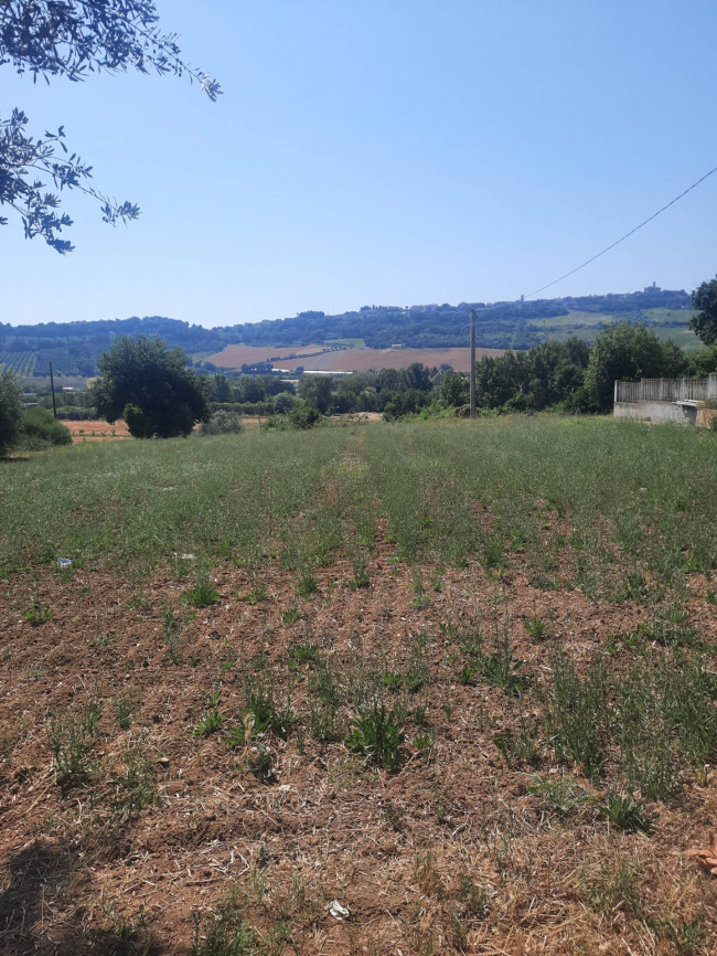 Terreno Agricolo in vendita a Altidona