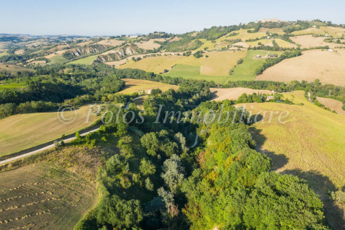 Terreno Agricolo in vendita a Carassai