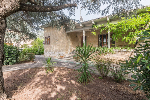  for sale in Montegiorgio