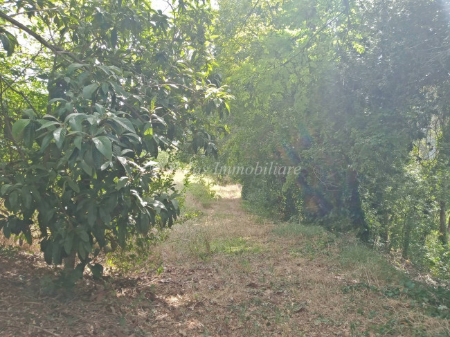  for sale in Ortezzano