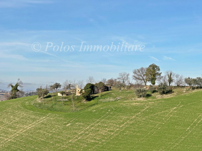 Casa colonica in vendita a Monte Giberto