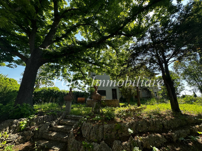  for sale in Montegiorgio