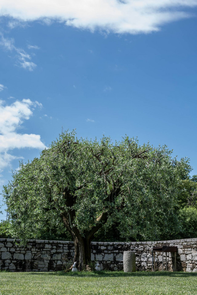 Villa in vendita a Duino-Aurisina