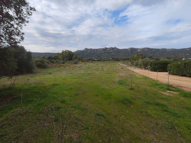 Terreno residenziale in Vendita a Monti
