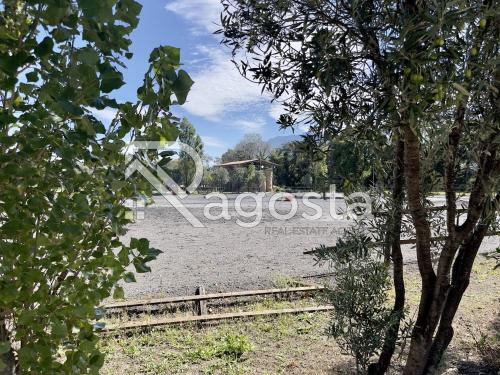 Terreno Agricolo in vendita a Serre