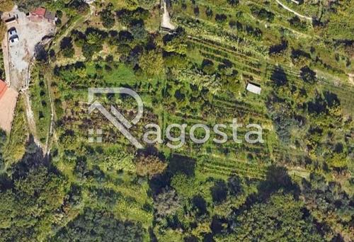 Terreno Agricolo in vendita a 