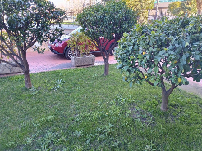 Appartamento in affitto a Albenga