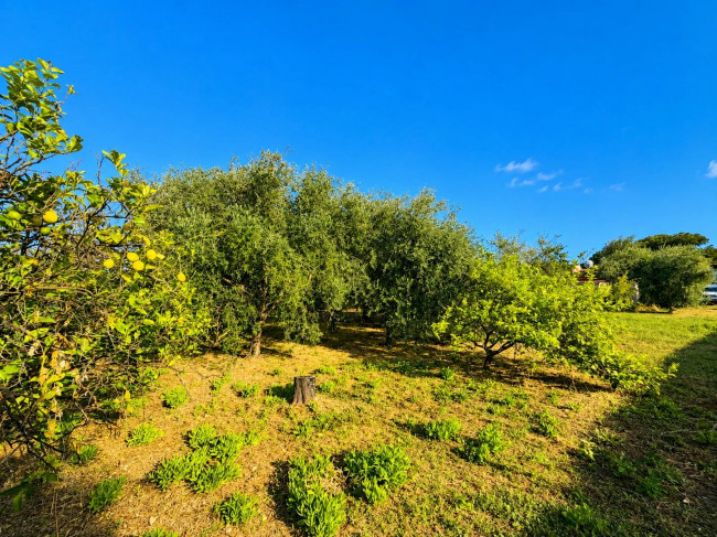 Casa singola in vendita a Albenga
