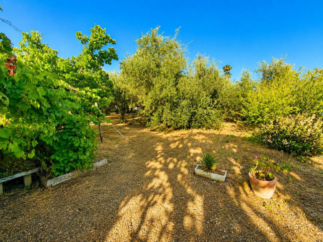 Casa singola in vendita a Albenga