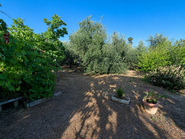 Casa singola in vendita a Albenga