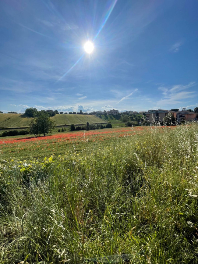 Terreno edificabile in vendita a Mosciano Sant'Angelo