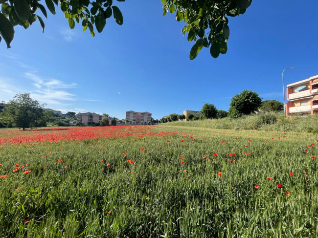Terreno edificabile in vendita a Mosciano Sant'Angelo