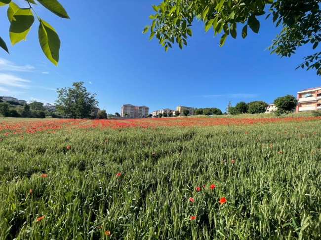 Terreno edificabile in vendita a Mosciano Sant'Angelo