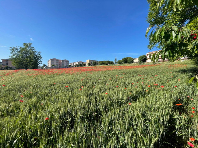 Terreno edificabile in vendita a Mosciano Sant'Angelo