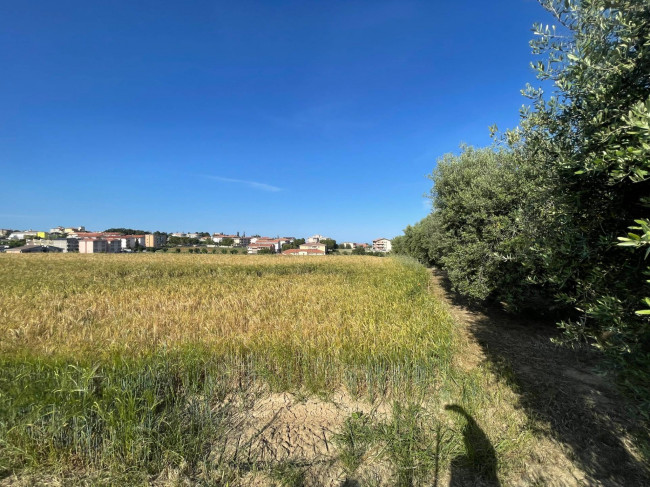 Terreno edificabile in vendita a Mosciano Sant'Angelo
