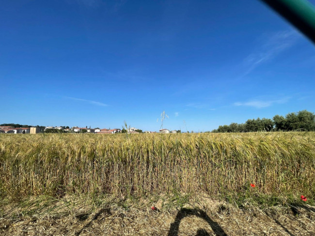 Terreno edificabile in vendita a Mosciano Sant'Angelo
