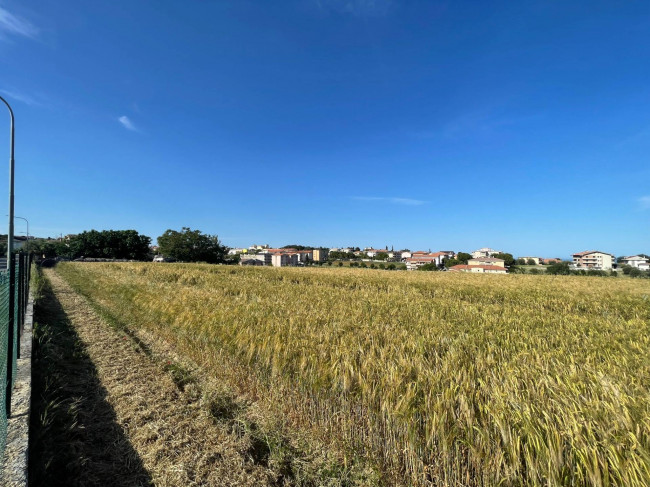 Terreno edificabile in vendita a Mosciano Sant'Angelo