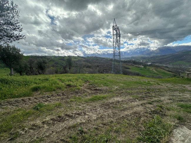 Casa singola in vendita a Basciano