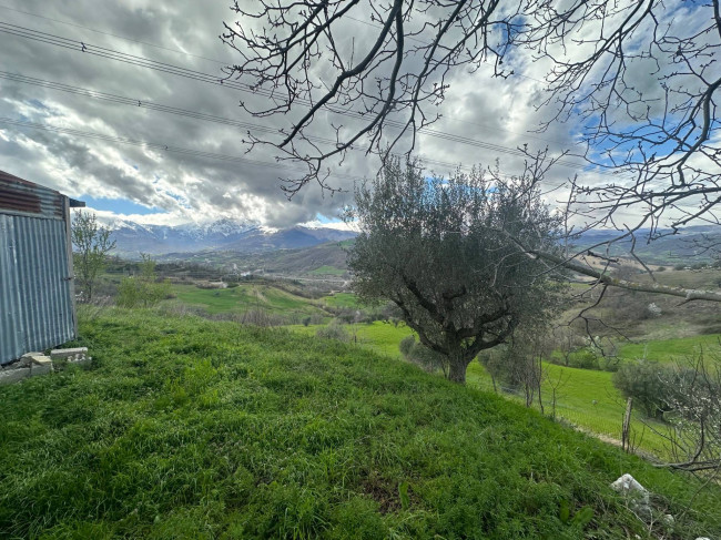Casa singola in vendita a Basciano