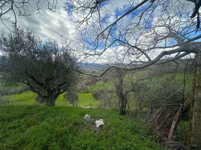 Casa singola in vendita a Basciano
