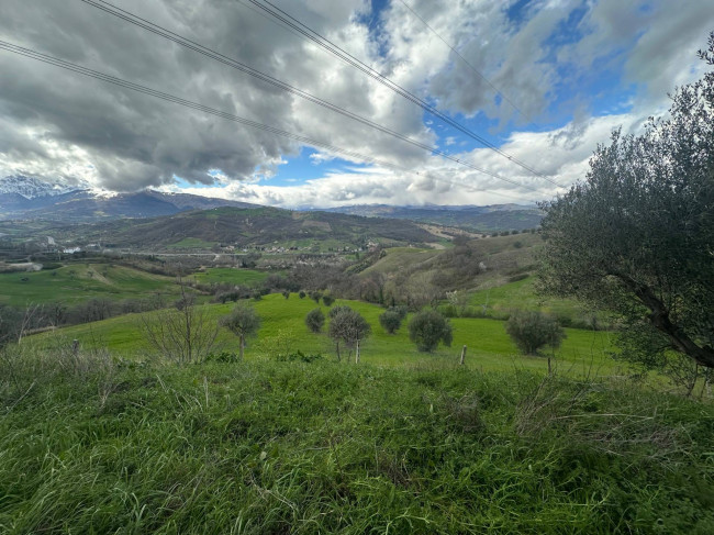 Casa singola in vendita a Basciano