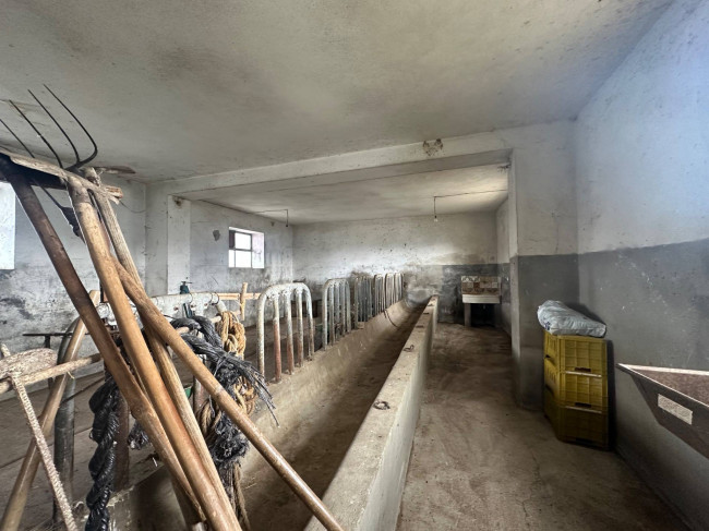 Casa singola in vendita a Basciano