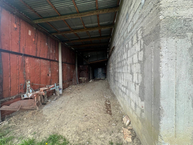 Casa singola in vendita a Basciano
