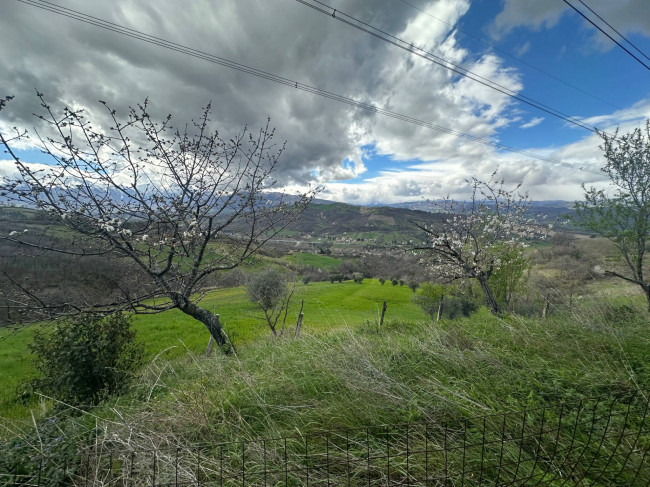 Casa singola in vendita a Basciano