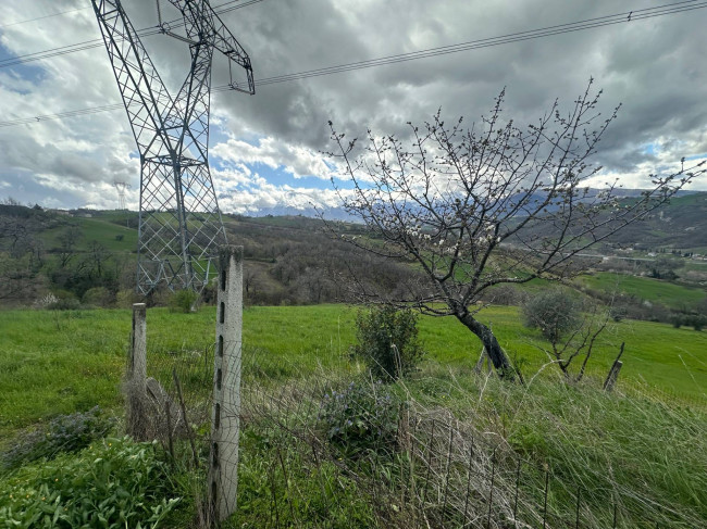 Casa singola in vendita a Basciano