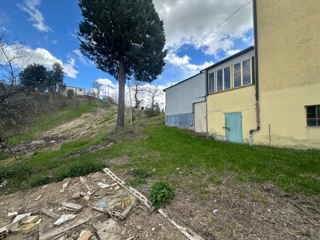 Casa singola in vendita a Basciano