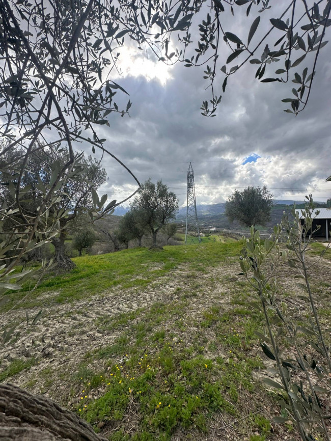 Casa singola in vendita a Basciano