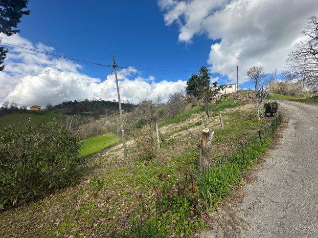 Casa singola in vendita a Basciano